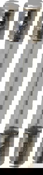 Cylindrical Fast-Acting Fuse: 20 A, 1-1/4